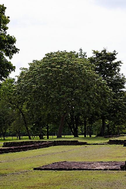 37-Prang Si Thep-006